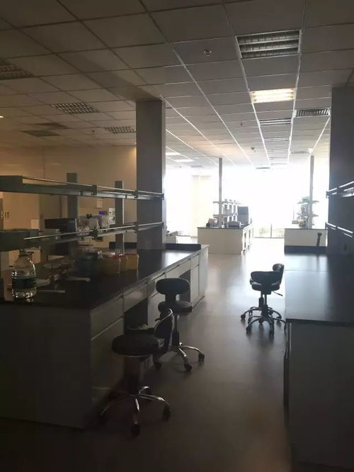 從戀愛到二胎都能測，消費級基因檢測靠譜嗎？