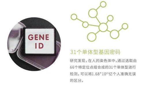 華大基因安馨可基因檢測系列產品全新上市，開啟精準健康管理新時代