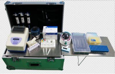 喜報 | 上海快靈推出多重專利基因試紙卡，引領精準檢測新篇章