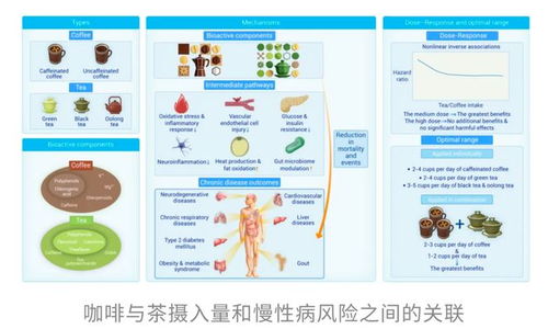 咖啡與茶再添“續(xù)命”實(shí)錘 哈佛研究揭示健康長(zhǎng)壽的秘密
